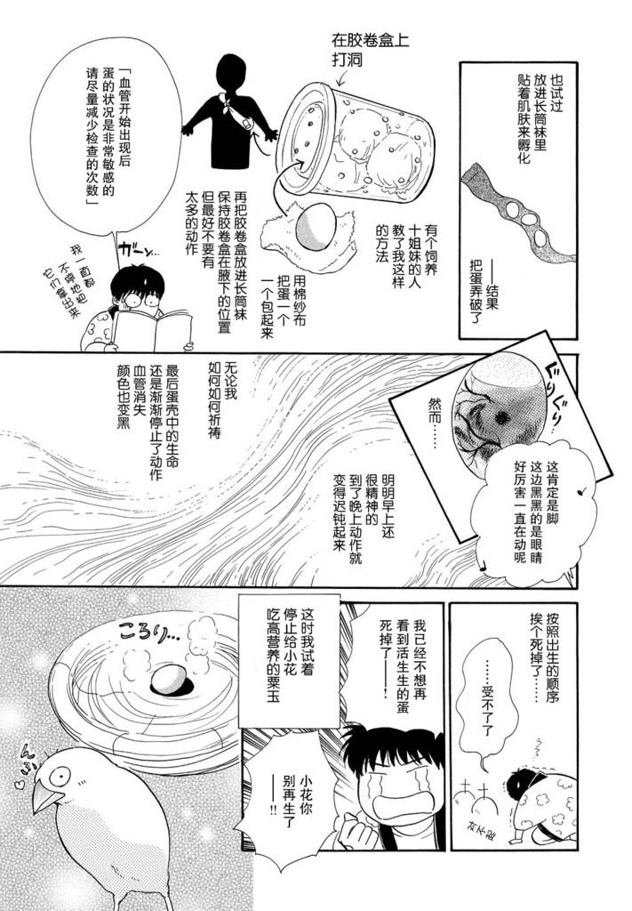 文鸟与我第2话图