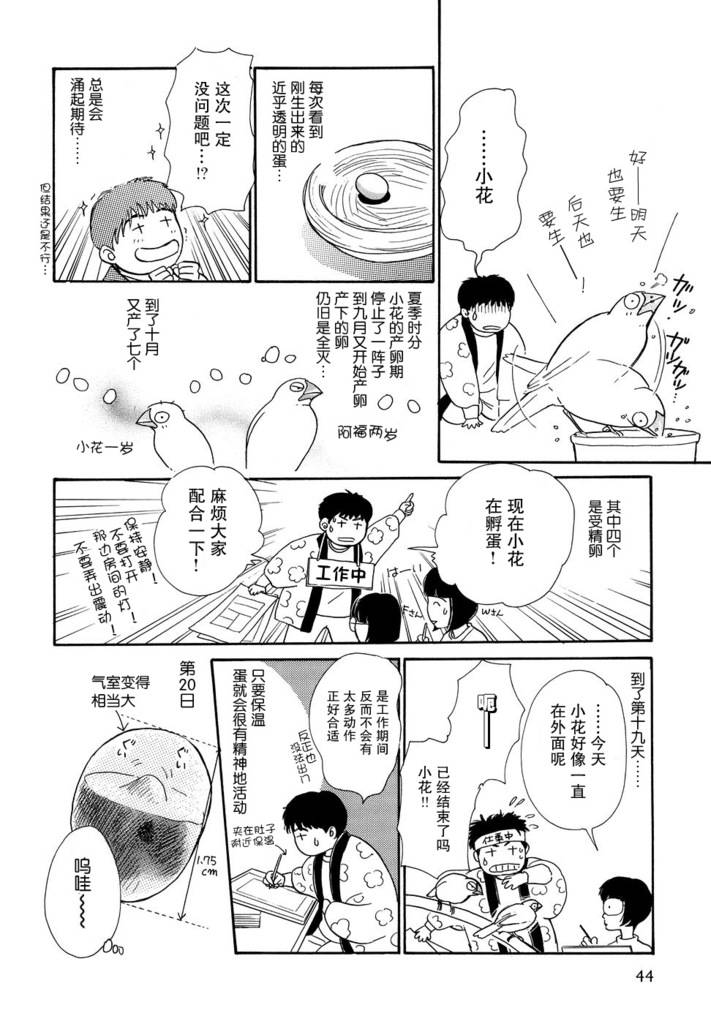 文鸟与我第2话图