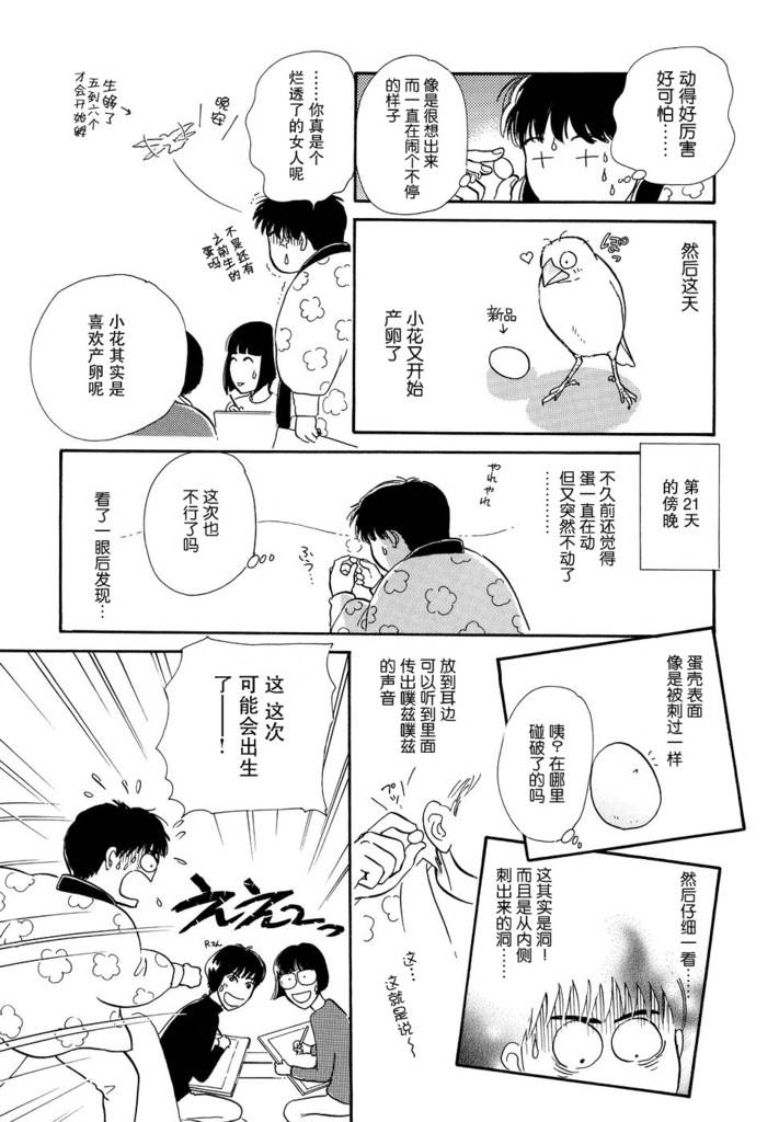 文鸟与我第2话图