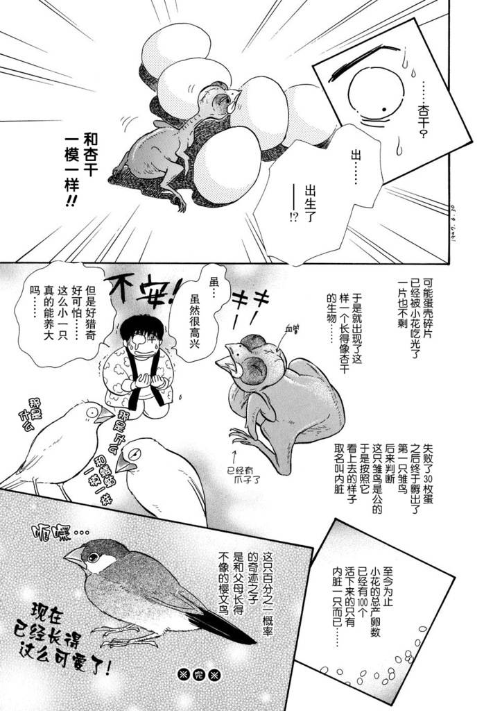 文鸟与我第2话图