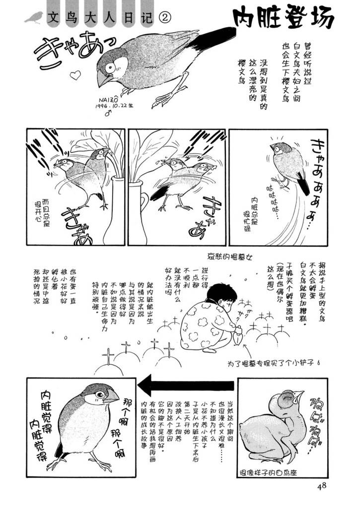 文鸟与我第2话图