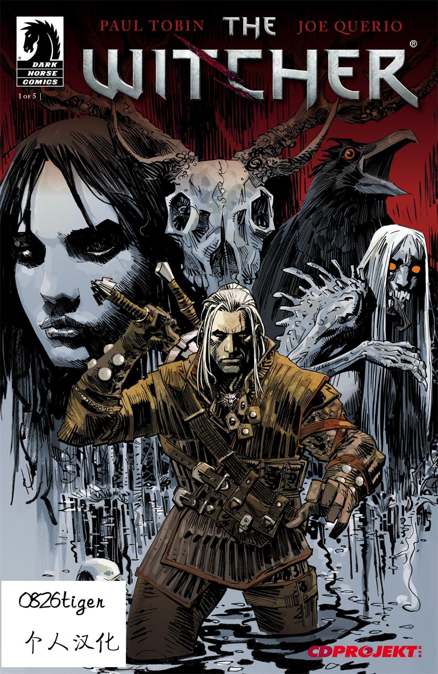 巫师 玻璃之屋第1卷图