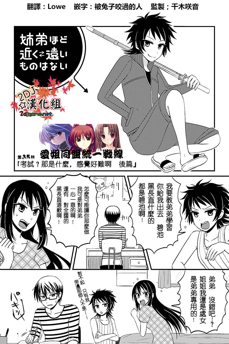 妄想系姐姐的弟控人生第35话图