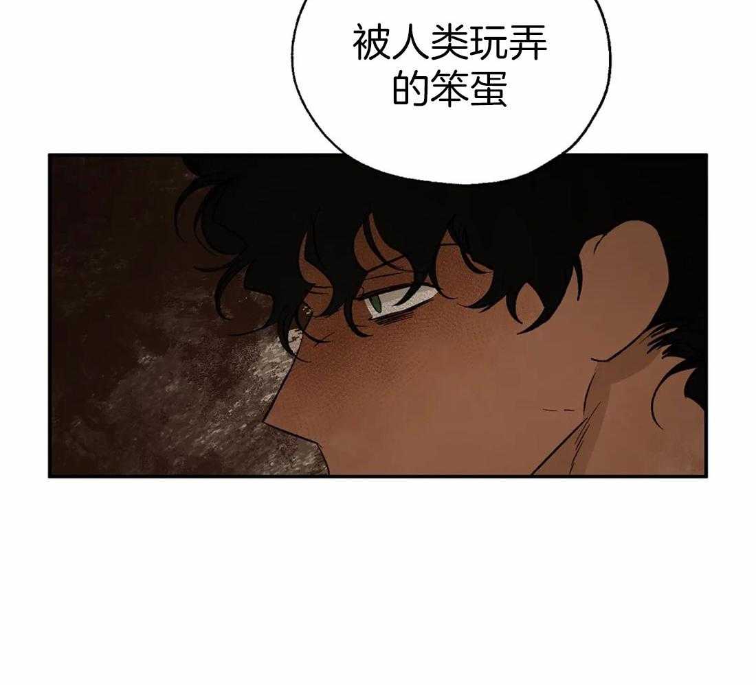 吸血鬼之吻第33话图