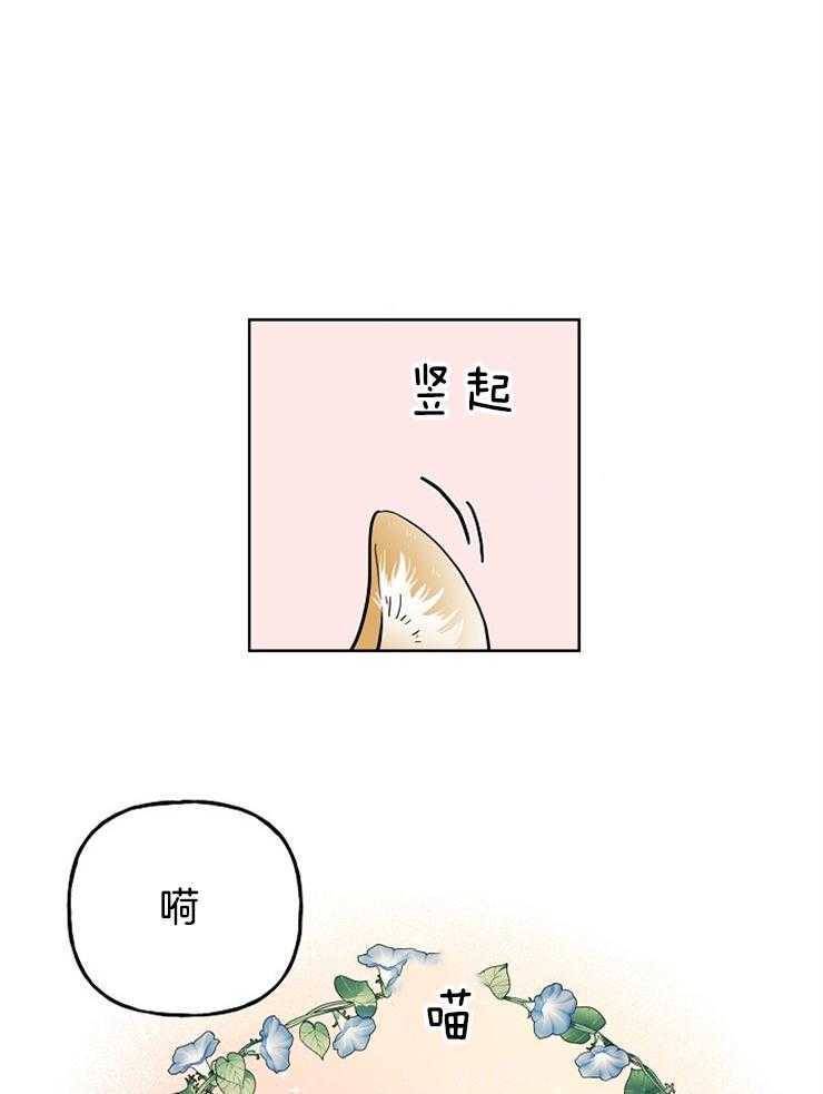 仙女汤盗窃案 第35话 第17页