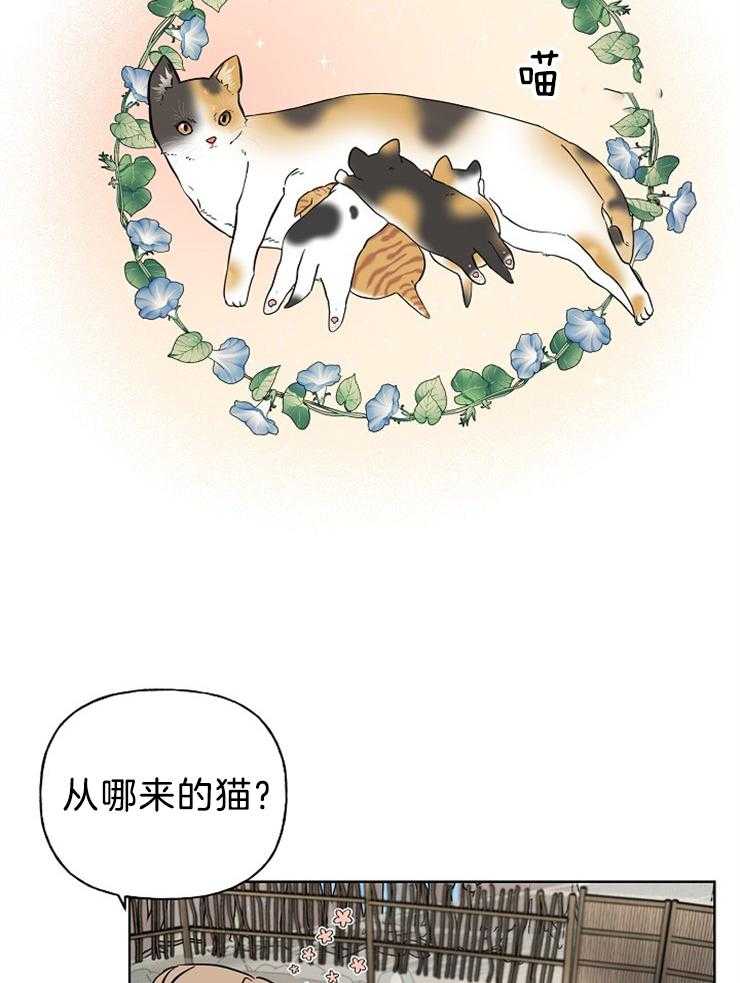 仙女汤盗窃案 第35话 第18页