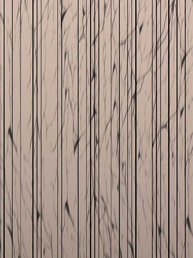 仙女汤盗窃案第60话图