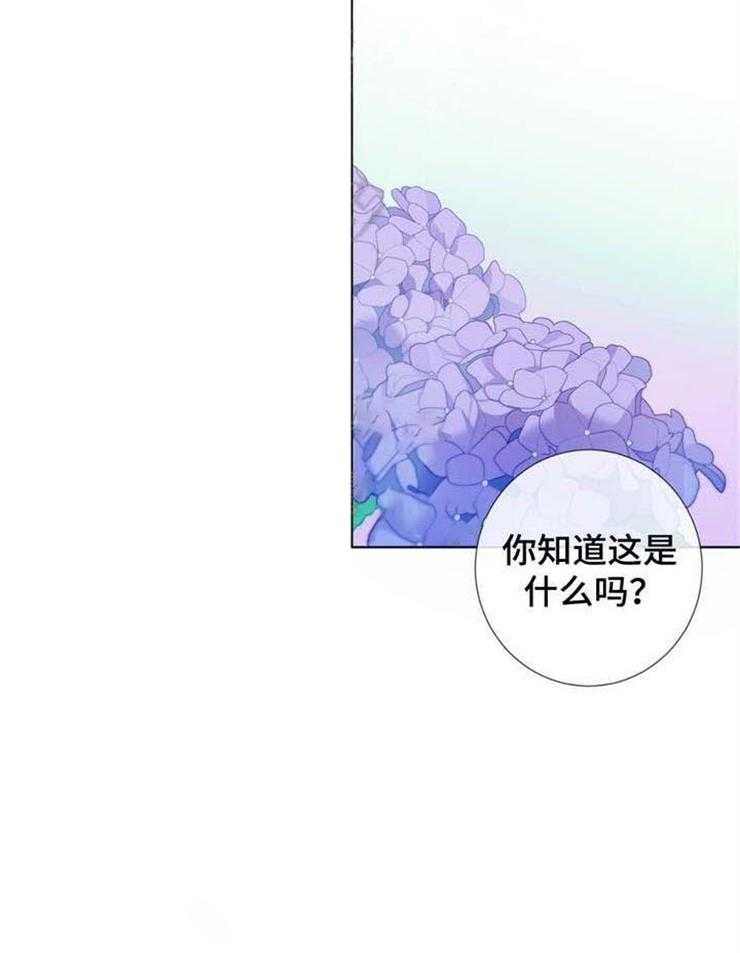 夏天的客人第13话图