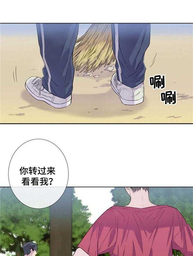 夏天的客人第17话图