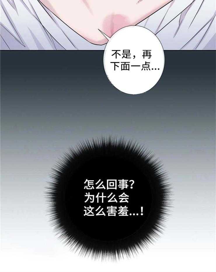夏天的客人第21话图
