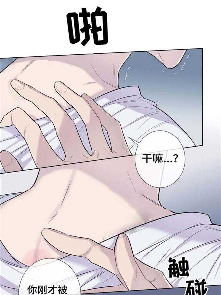 夏天的客人第23话图