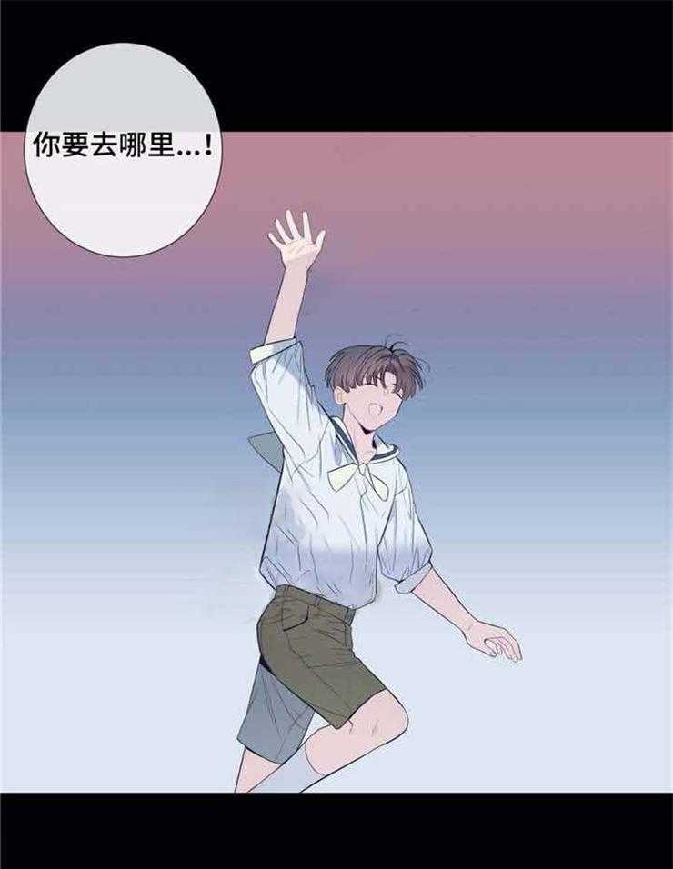 夏天的客人第26话图