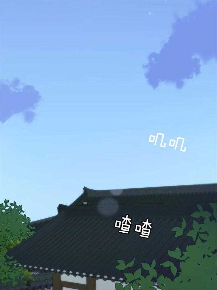 夏天的客人第41话图