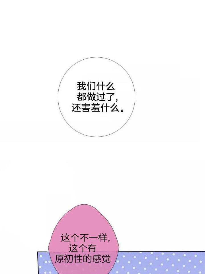 夏天的客人第42话图