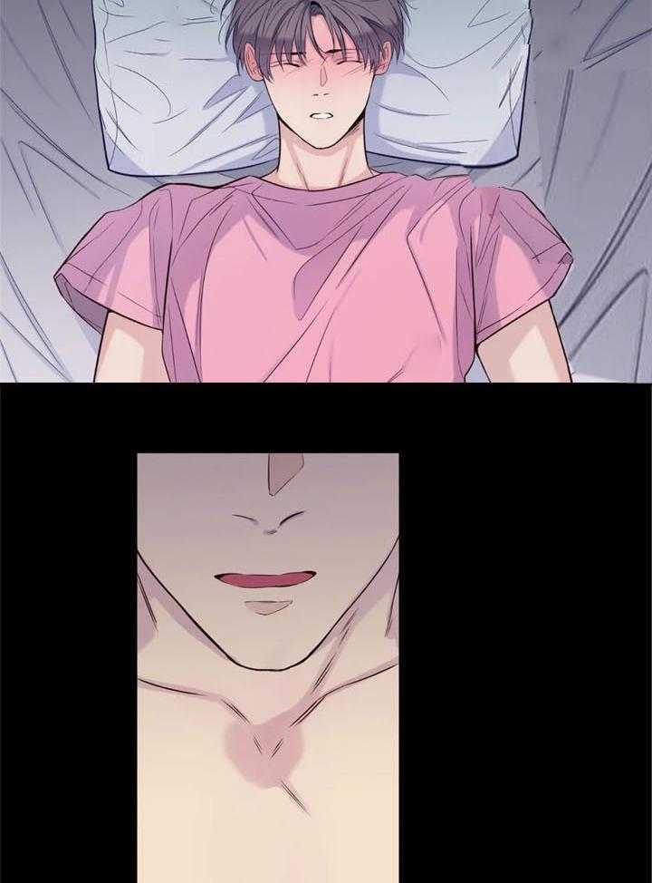 夏天的客人第46话图