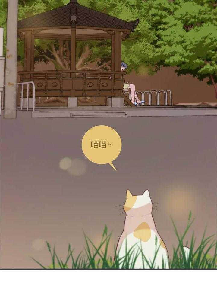 夏天的客人第57话图