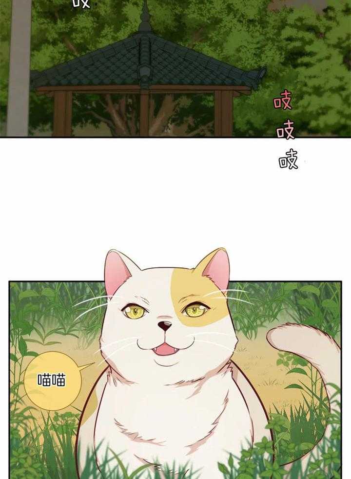 夏天的客人第60话图