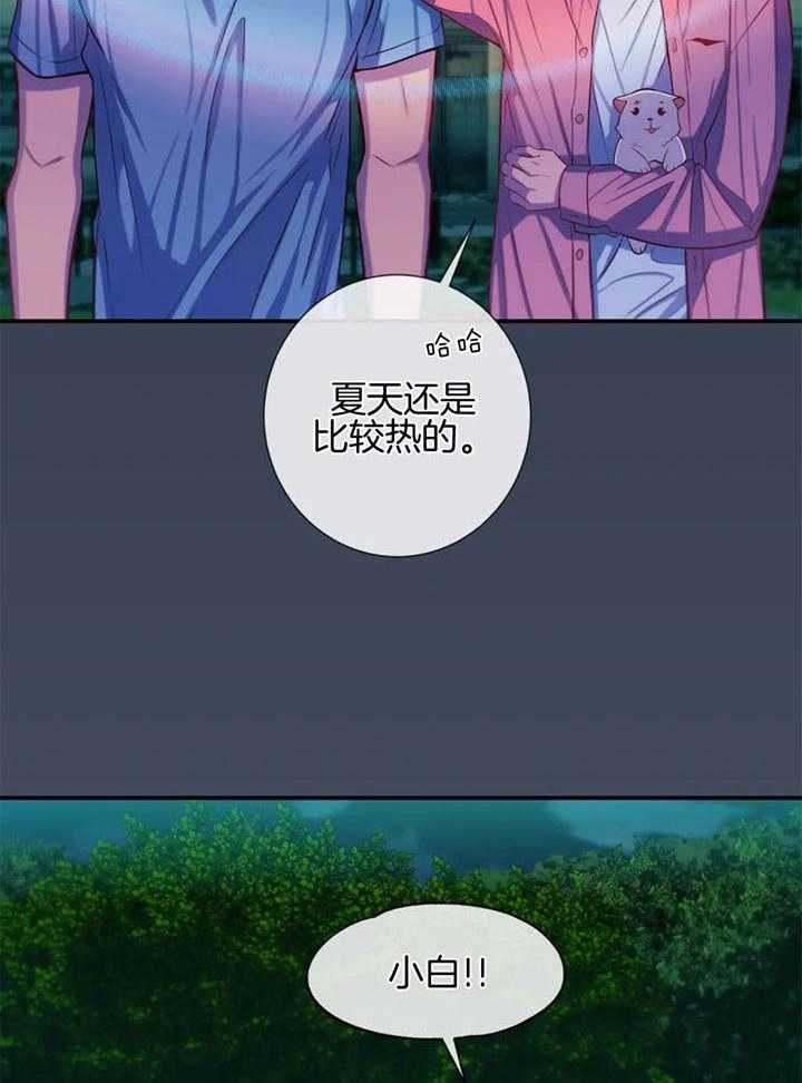 夏天的客人第65话图