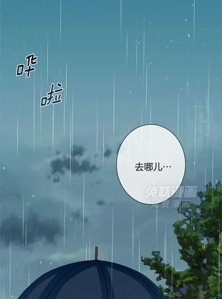 夏天的客人第72话图