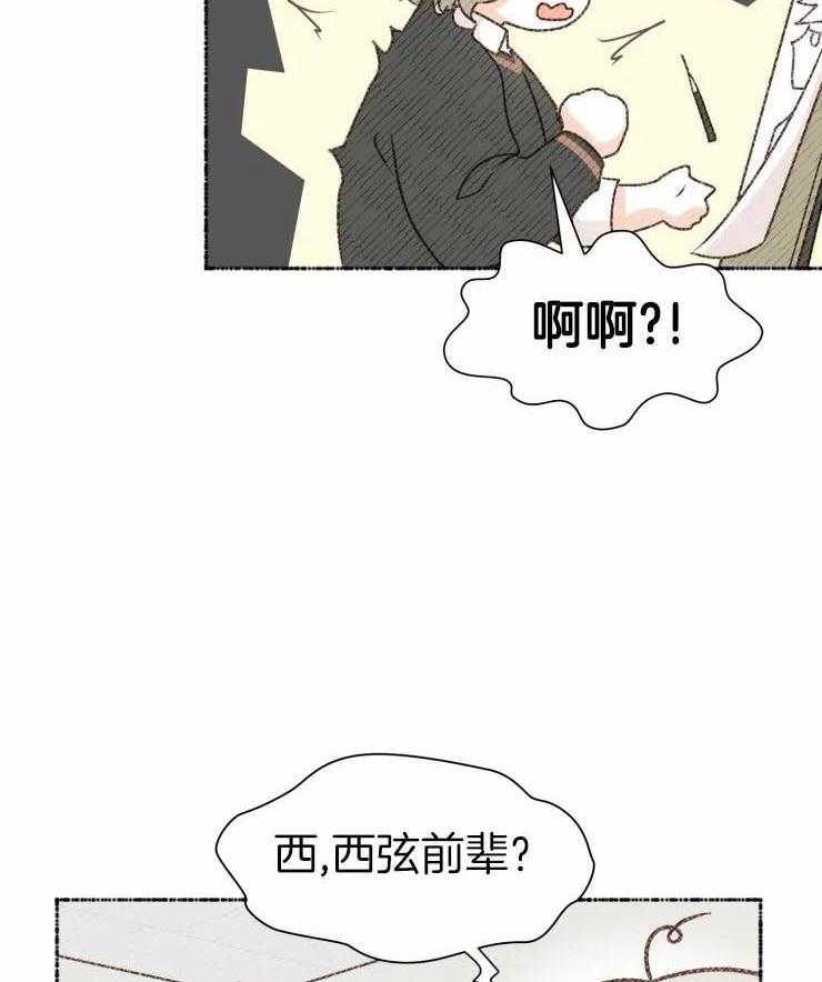 肖像权警告第8话图