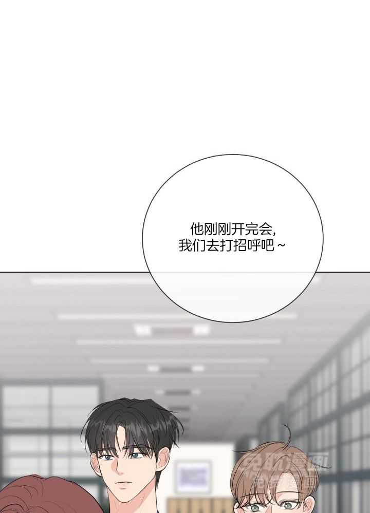 下属不可啵上司嘴第43话图