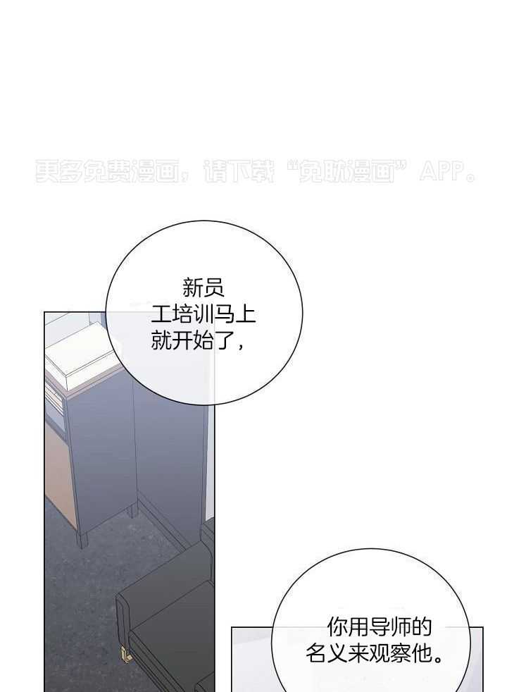 下属不可啵上司嘴第62话图