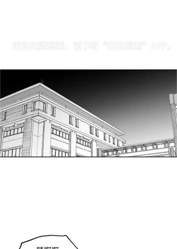 乡野的约会第28话图