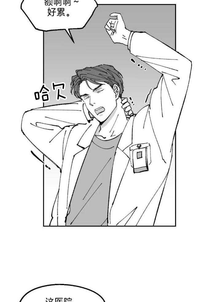 乡野的约会第28话图