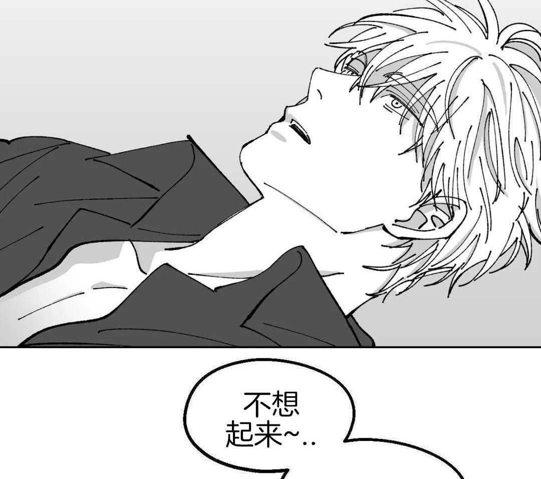 乡野的约会第41话图