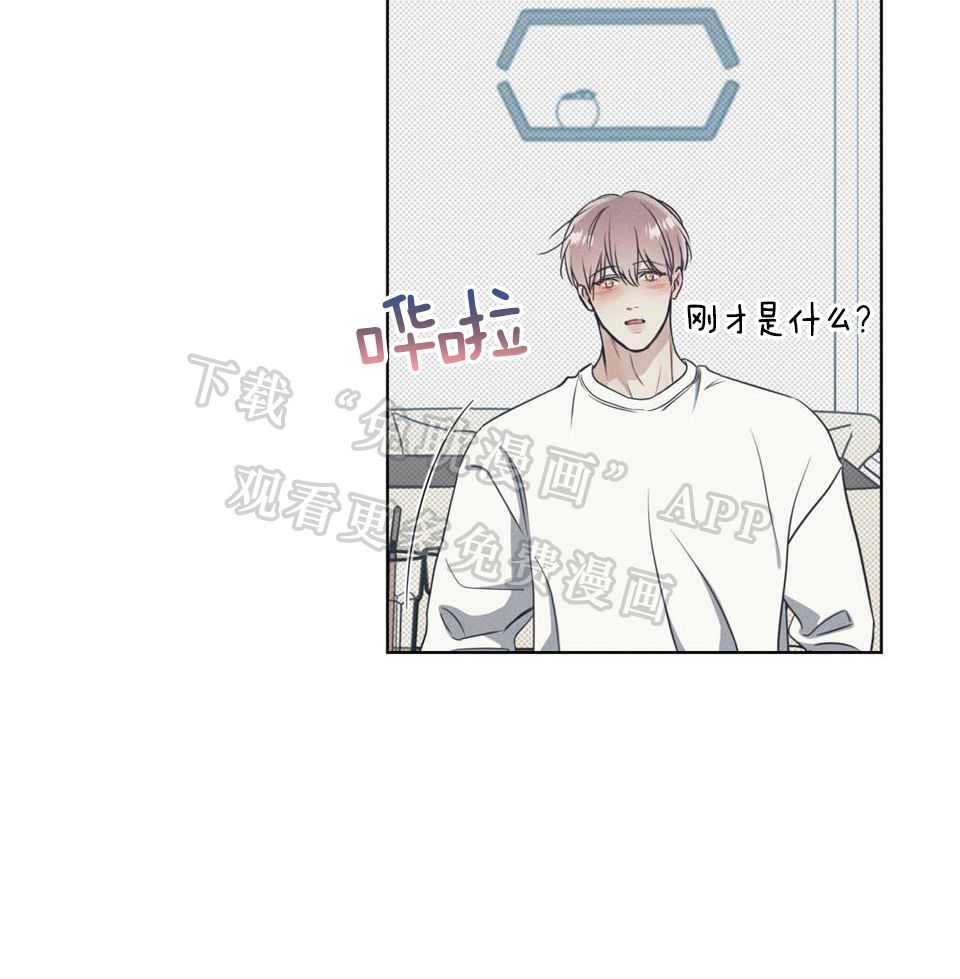 小狼狗的千种追妻技巧第33话图