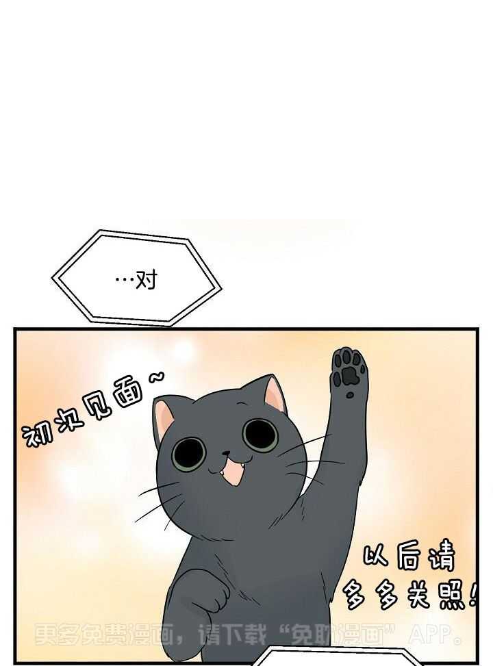 幸运黑喵第28话图