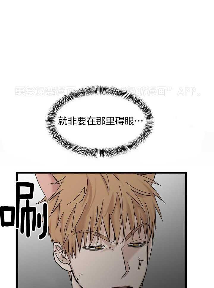 幸运黑喵第29话图