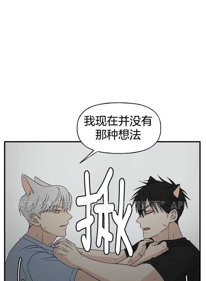 幸运黑喵第38话图