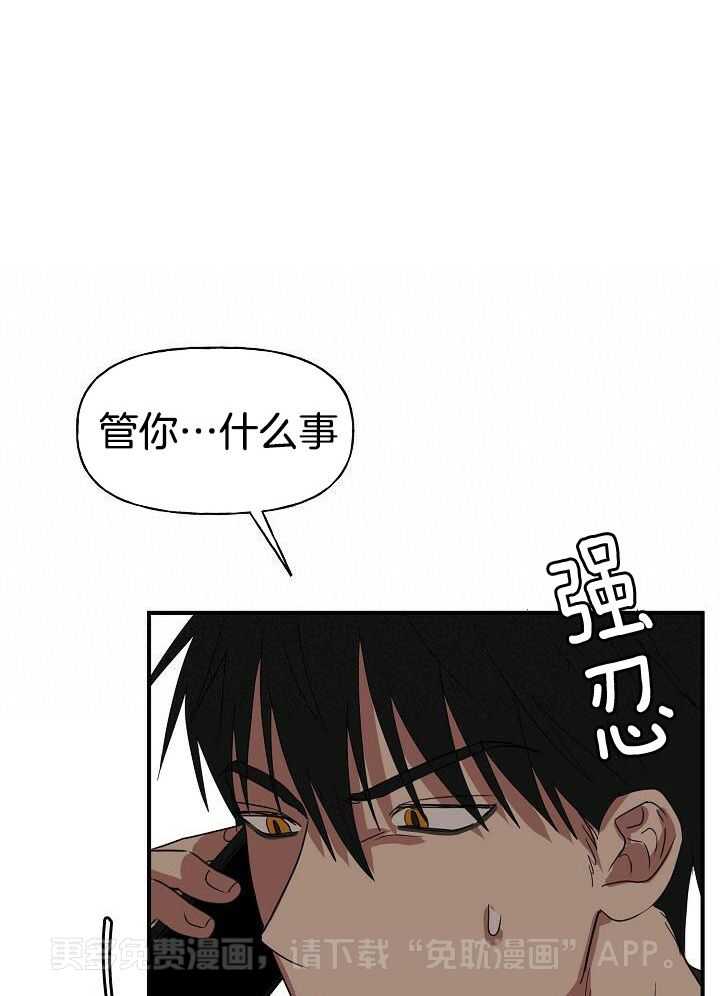 幸运黑喵第41话图