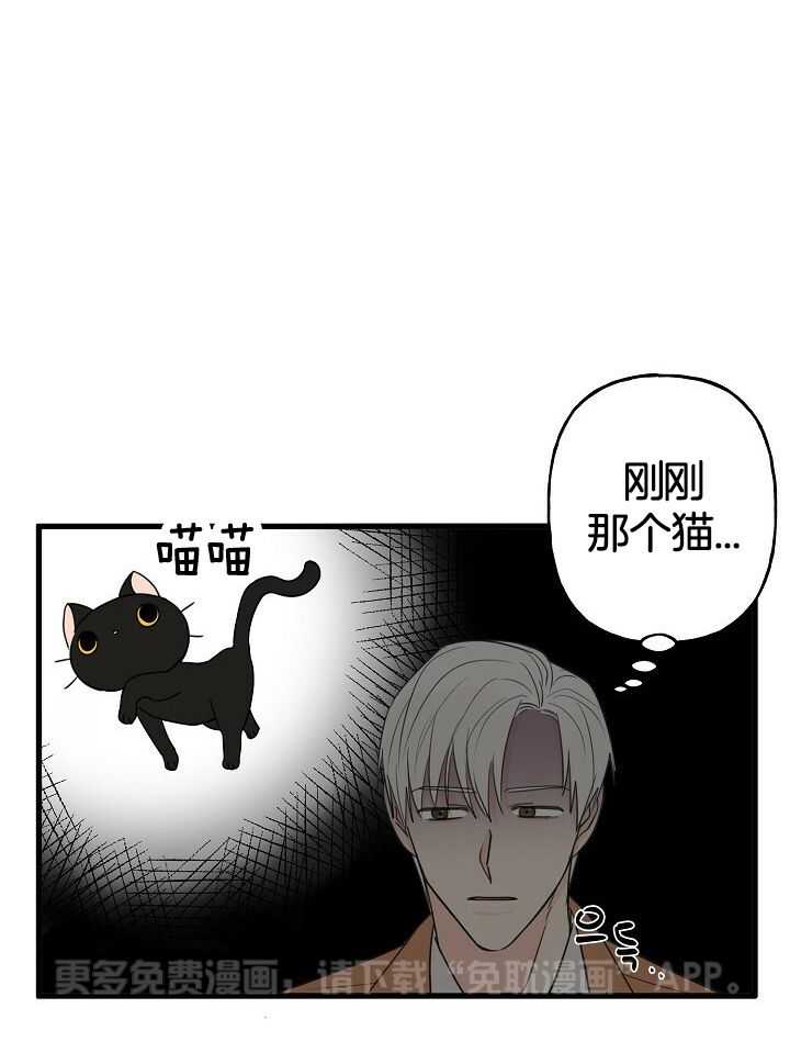 幸运黑喵第9话图