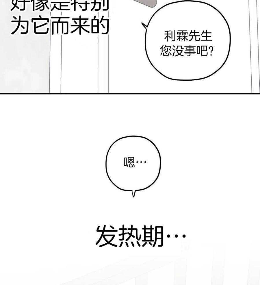 信息素戒断症第119话图