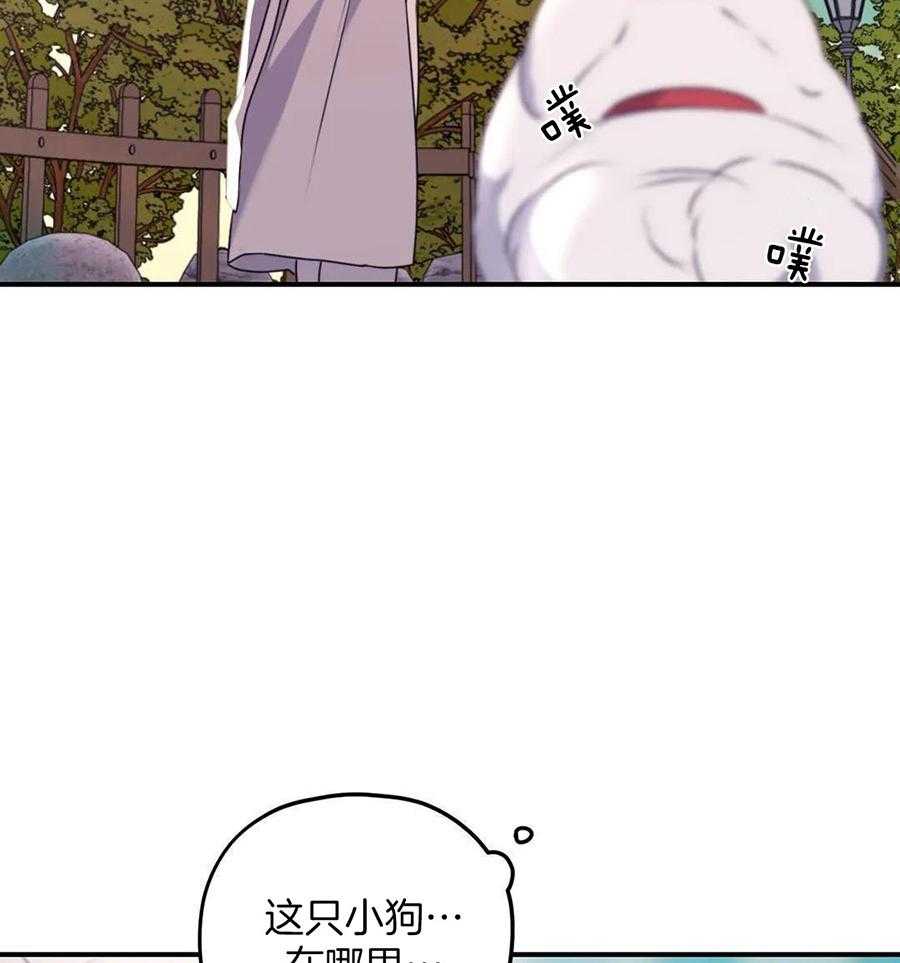 信息素戒断症第135话图