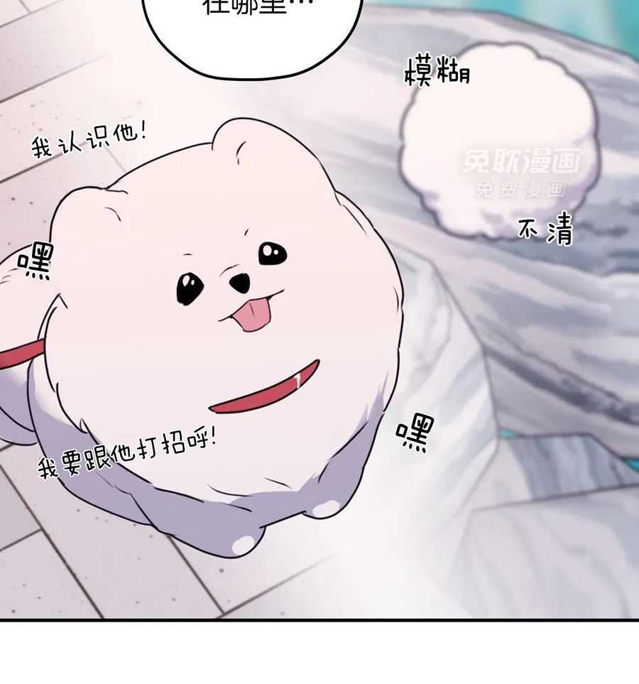 信息素戒断症第135话图