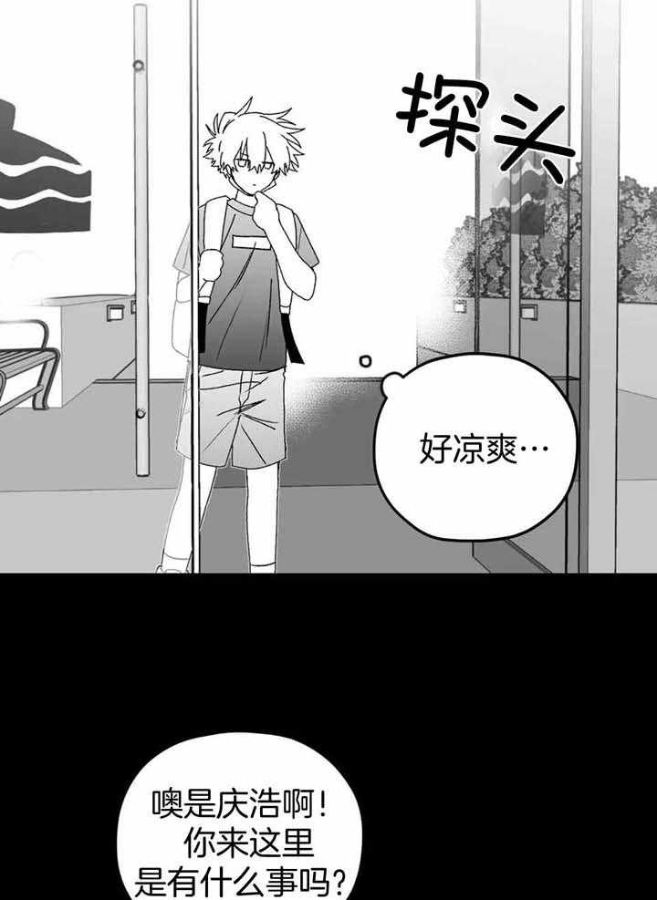 信息素戒断症第28话图