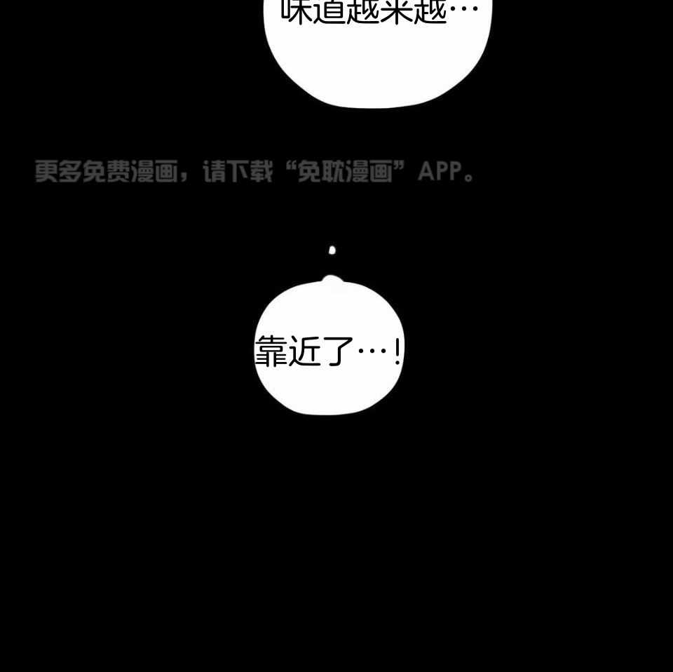 信息素戒断症第48话图