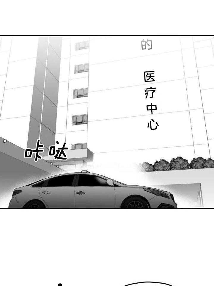 信息素戒断症第52话图