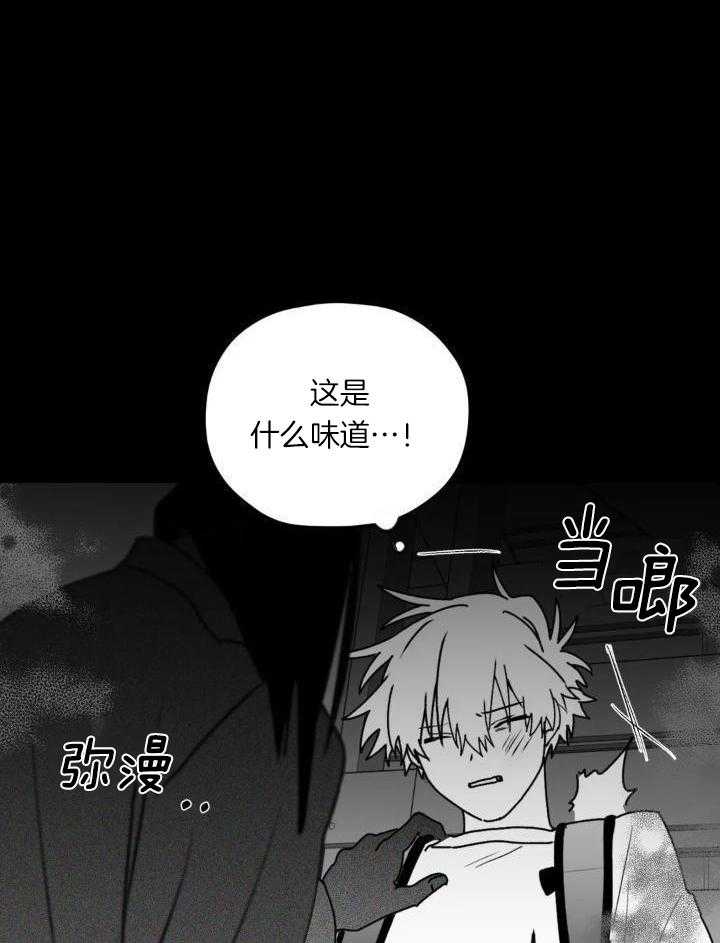 信息素戒断症 第55话 第28页