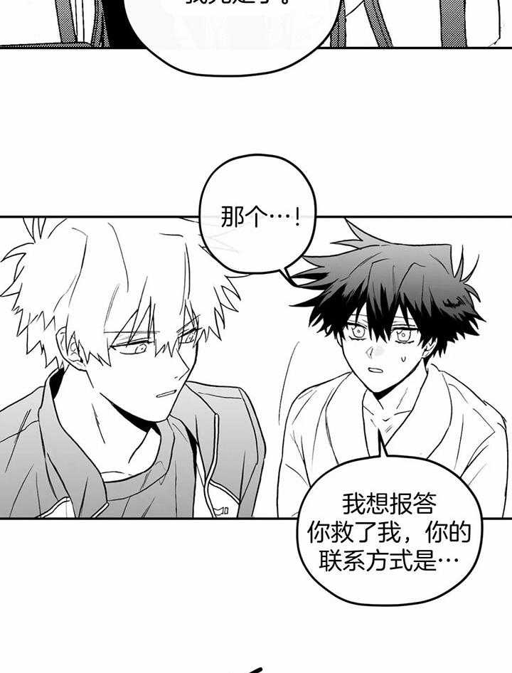 信息素戒断症 第6话 第5页