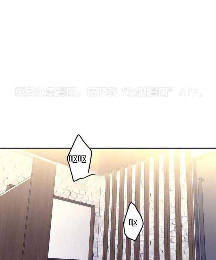 信息素戒断症第70话图