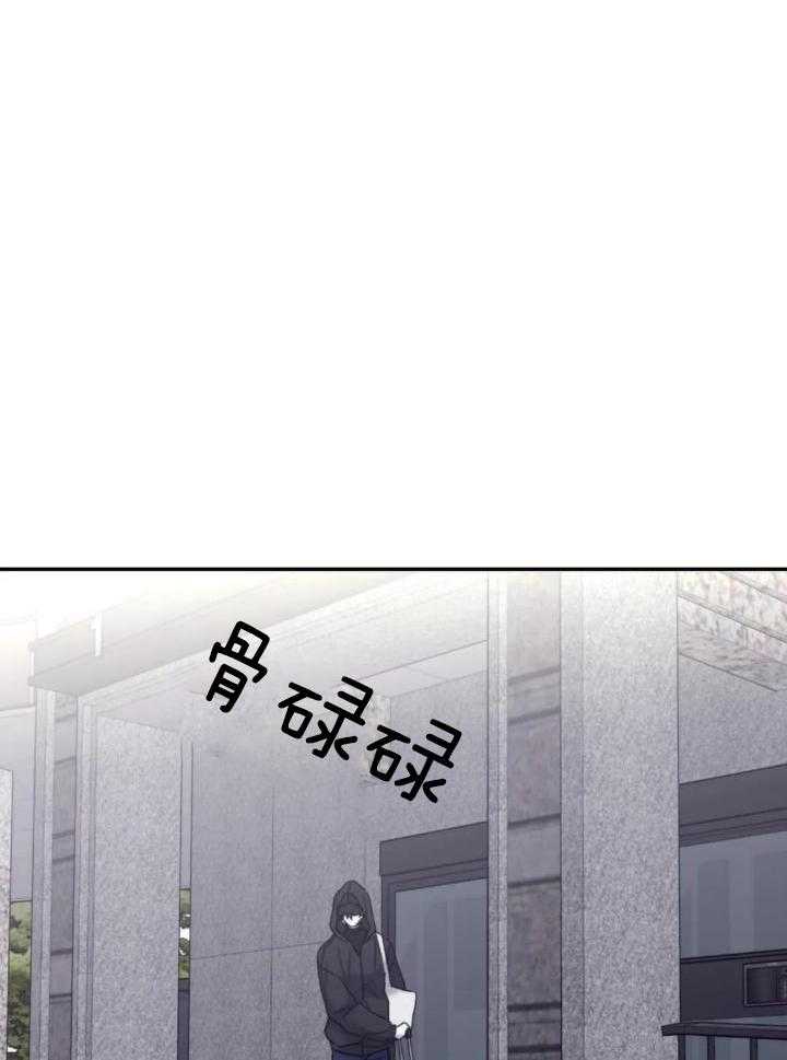 信息素戒断症第94话图