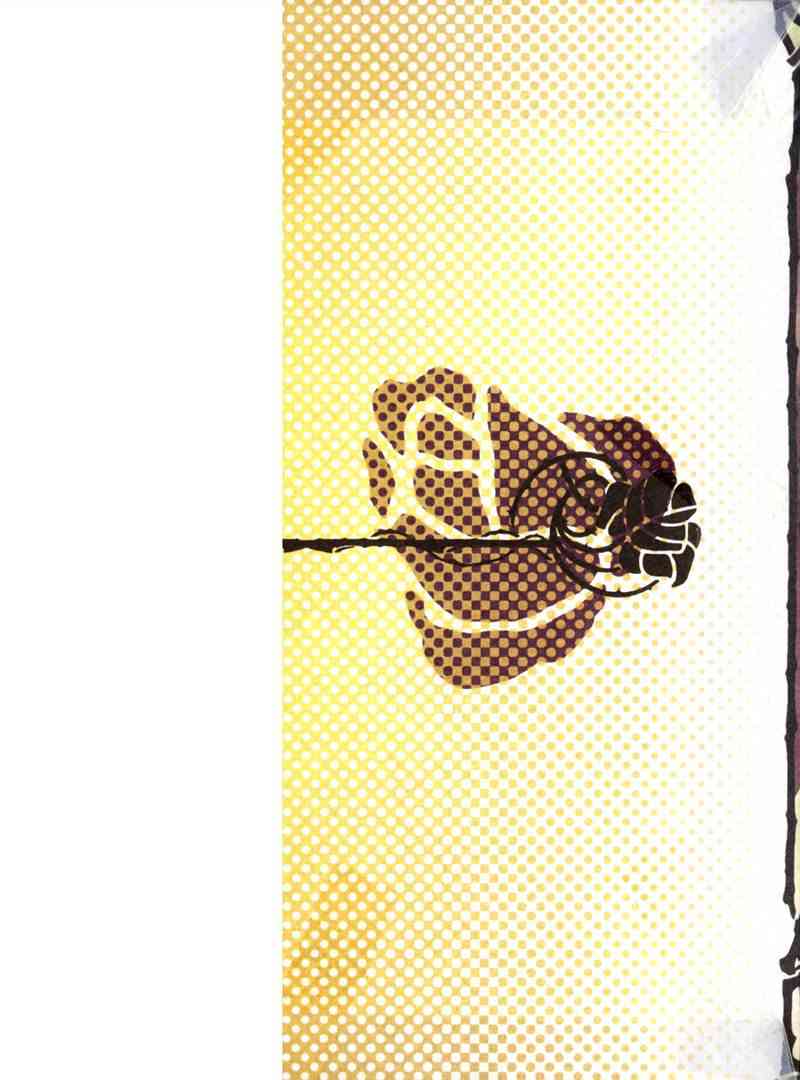 新蔷薇少女2卷图