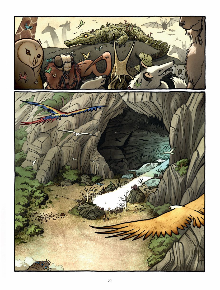 熊王 1话 第29页