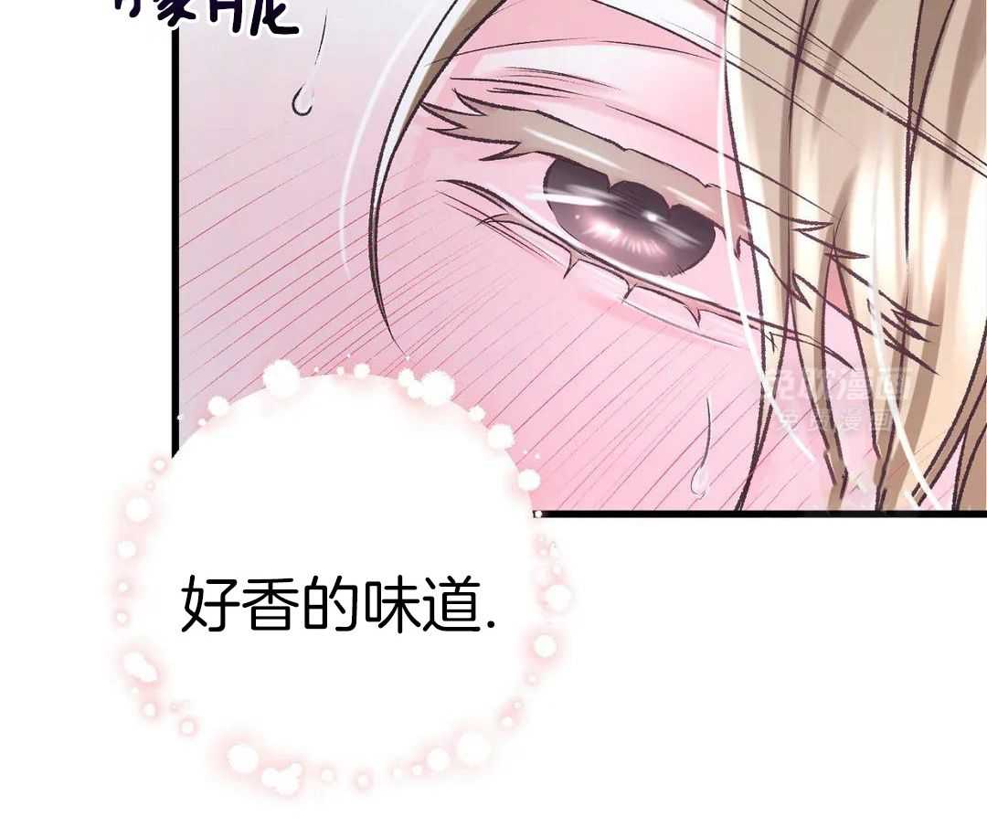 信息素过敏第11话图