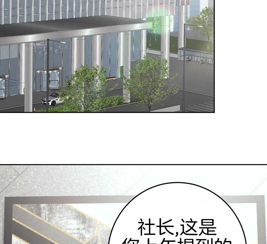 信息素过敏第16话图