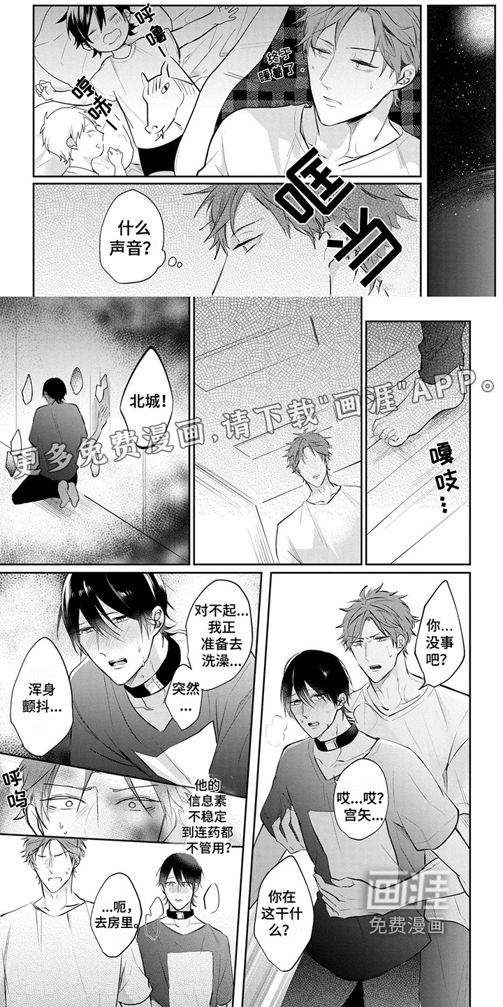 新的家庭第13话图